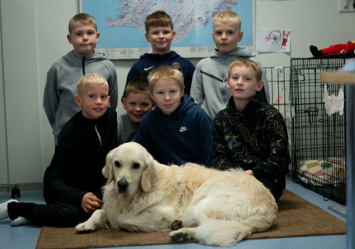 Trausti er afar vel liðinn meðal nemenda Fossvogsskóla en hann mætir alla miðvikudaga og föstudaga í skólann.