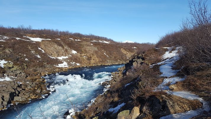 Klaki liggur ofan í stígnum ofan við Brúará. Göngufólk sem óttast brúnina hefur rutt sér leið í gegnum birkitré.