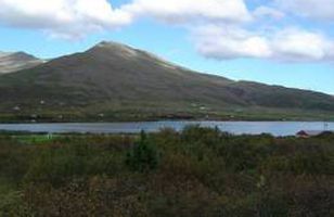 Fréttamynd