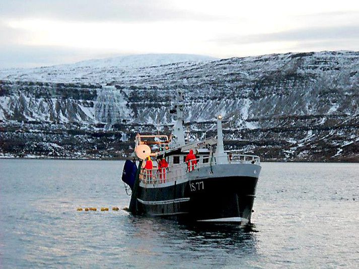 Sæstrengur flutti rafmagn að sendimastri.