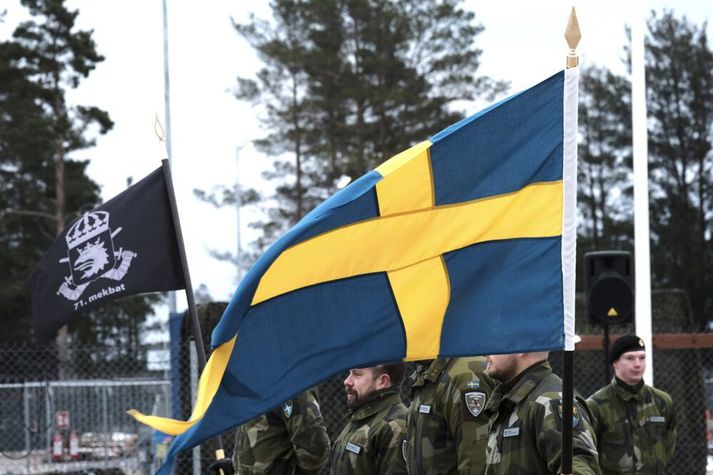 Efla á sænska herinn með stórauknum framlögum við endurvopnunar Svíþjóðar sem ríkisstjórn landsins kynnti í dag.