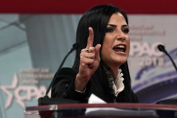 Dana Loesch, talskona NRA.