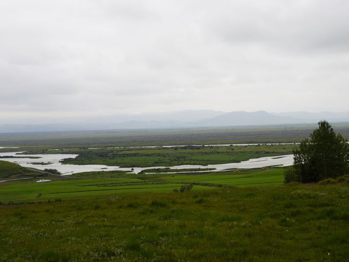 Hagaey er meðal stærstu eyja í Þjórsá en hún mun að stórum hluta fara í kaf þegar að Hvammsvirkjun rís. 