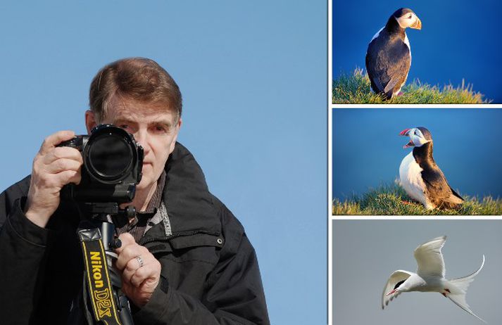 Þórir N. Kjartasson segir kríunni hafa fækkað fjórfalt eða fimmfalt frá því þegar mest var. Hann hvetur nýjan umhverfisráðherra til að grípa til aðgerða.