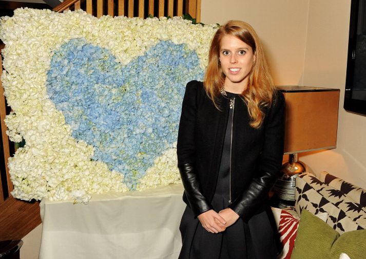 Á meðal þeirra vefslóða sem nú eru uppteknar er princessbeatrice.org