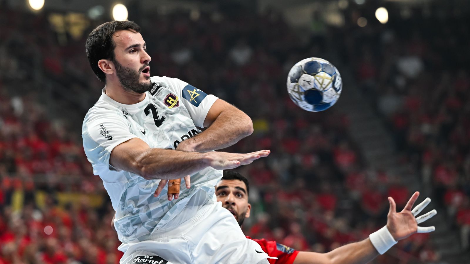 Sonur franska handboltamannsins Romain Lagarde látinn