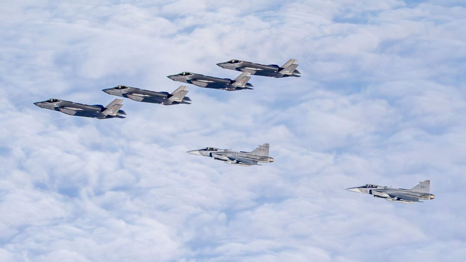 Her­þotur frá Sví­þjóð, Dan­mörku og Þýska­landi á Ís­landi