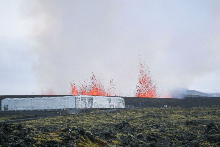 Í fyrstu leit út fyrir að gosið myndi valda meiriháttar skemmdum í Grindavík en þegar upp var staðið liggur fyrir að um lítið gos var að ræða, stóð í rétt yfir í um 6 klukkustundir sem gerir það stysta eldgosið í þessari goshrinu á Sundhnúksgígaröðinni.