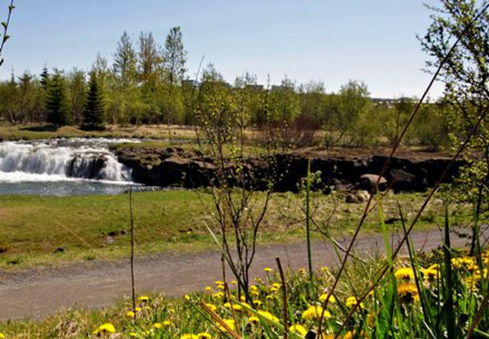 Elliðaárdalur.