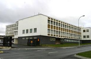 Fréttamynd