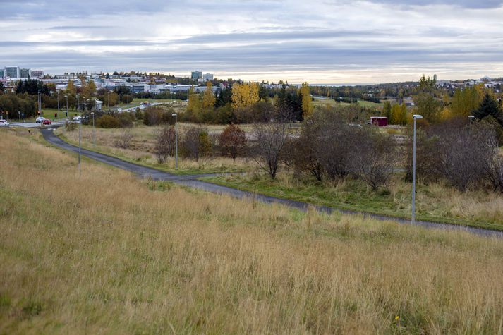 Unnið hefur verið að undirbúningi þess að reisa gróðurhvelfingar við Stekkjarbakka.  