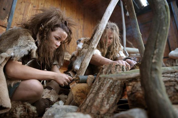 Til sýnis Sjálfboðaliðar í gervi hellamanna eyða dögunum í að snyrta hvort annað og stara á gesti dýragarðsins.
Nordicphotos/AFP