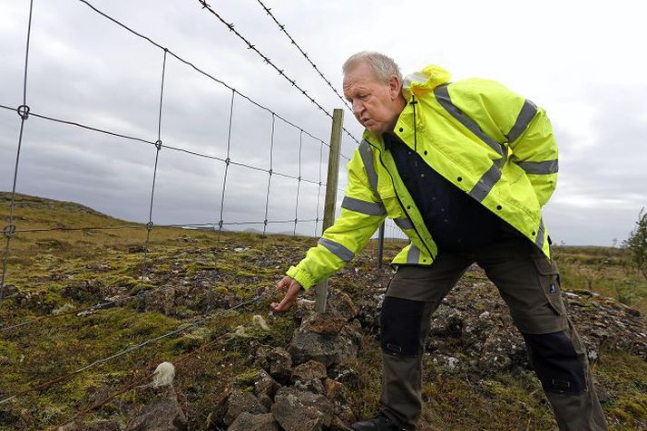 Landeigandinn Virgill Scheving Einarsson segir að kindur sleppi ítrekað úr hólfinu. 