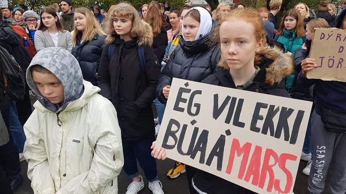 Í hádeginu hófst verkfall ungmenna á Austurvelli gegn loftslagsbreytingum og verður það haldið alla virka daga í næstu viku.