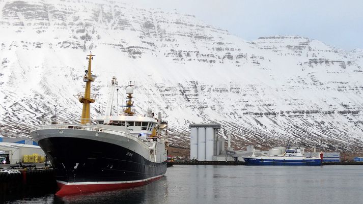 Frá Norðfjarðarhöfn í dag. Nær er Polar Amaroq GR og fjær Hákon EA, sem taka bæði þátt í leiðangrinum.