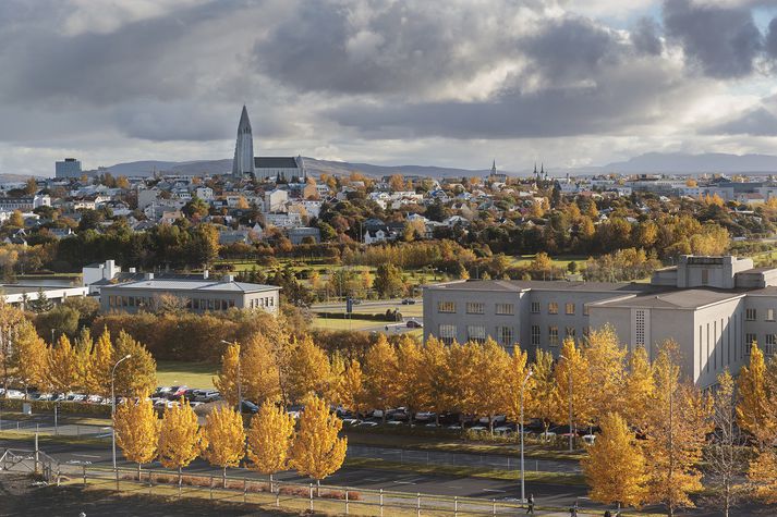 Háskólanemar ættu að líta aðeins upp úr bókunum um helgina og dást að litadýrðinni meðan hennar nýtur við.