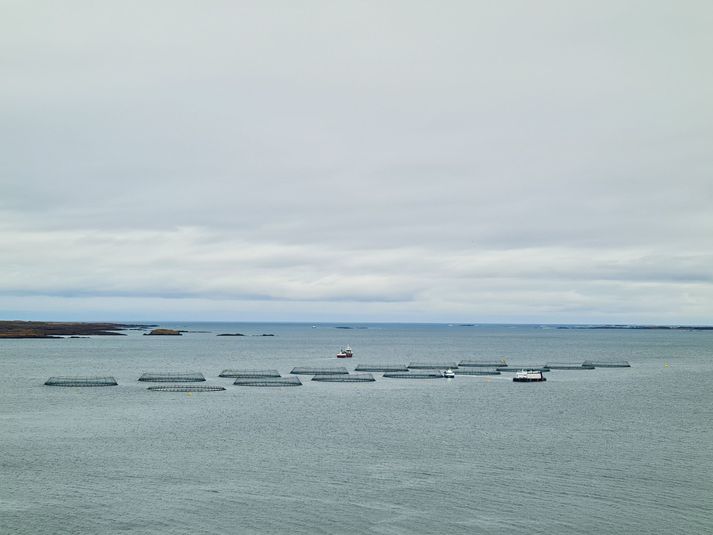 Sjókvíar Ice Fish Farm á Austfjörðum.