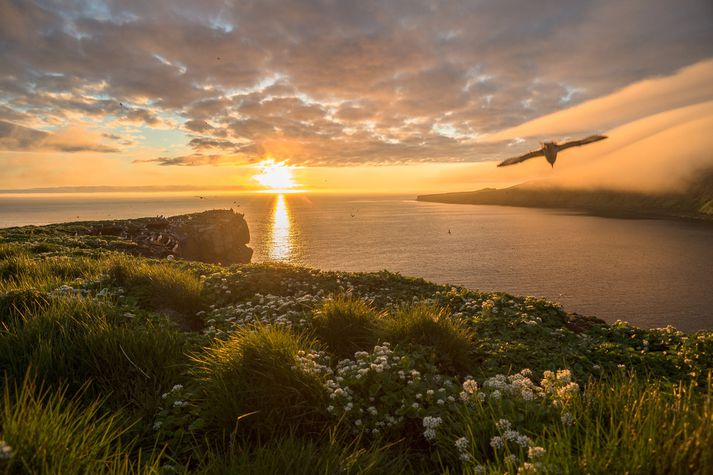 Um allt land má finna ríkisjarðir, til að mynda í Grímsey.