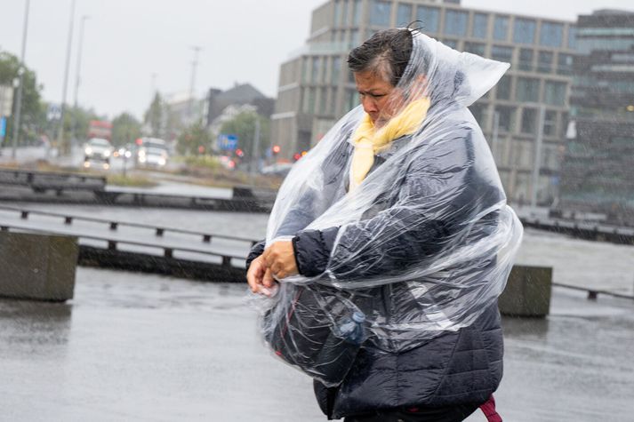 Þetta verður einhvern veginn svona. 