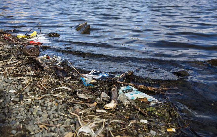 Fýlar afla sér fæðu mest sem næst yfirborði sjávar og gleypa því oft plast.