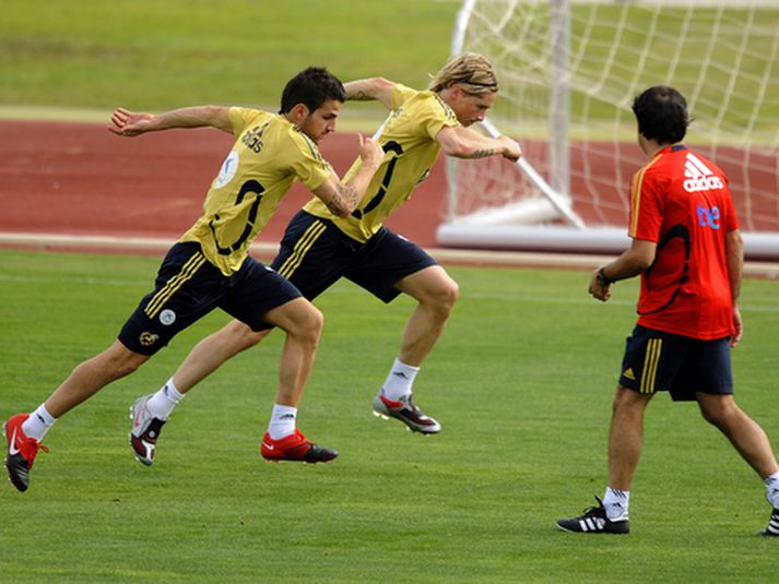 Fernando Torres og Cesc Fabregas á séræfingu með sjúkraþjálfara.