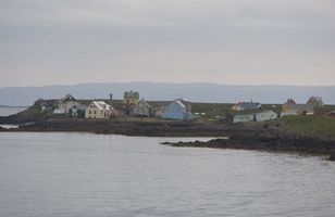 Fréttamynd