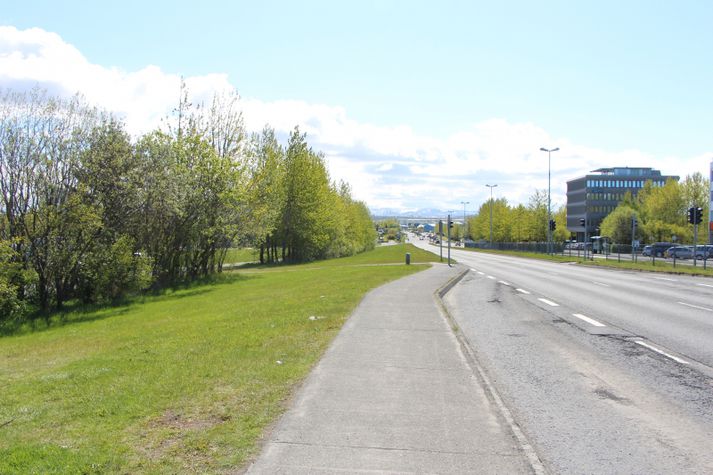 Tölvugerðar myndir í dreifingu á netinu gera ráð fyrir blokkabyggð á þessu svæði.