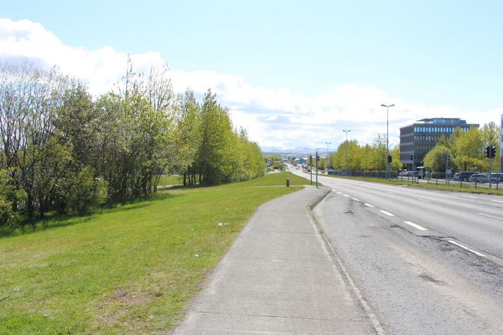 Tölvugerðar myndir í dreifingu á netinu gera ráð fyrir blokkabyggð á þessu svæði.