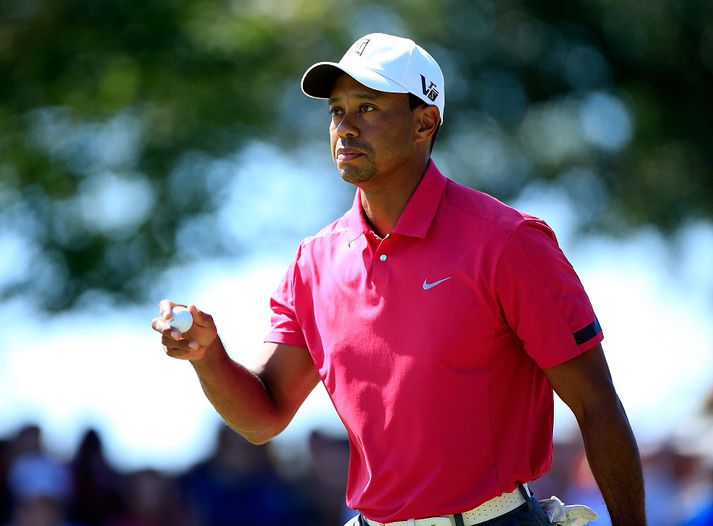 Tiger Woods ætlar sér að gera betri hluti á nýju ári.