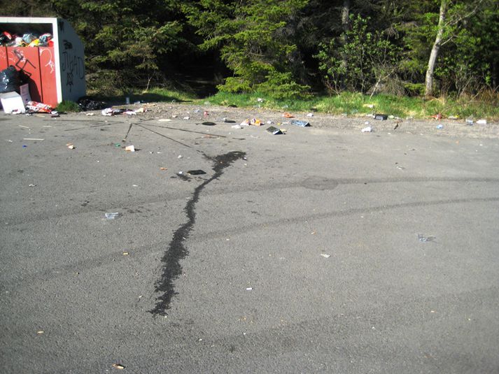 Rusl í Heiðmörk. Guðbergur tók þessar myndir þegar hann gekk í gegnum Heimörk í gær.