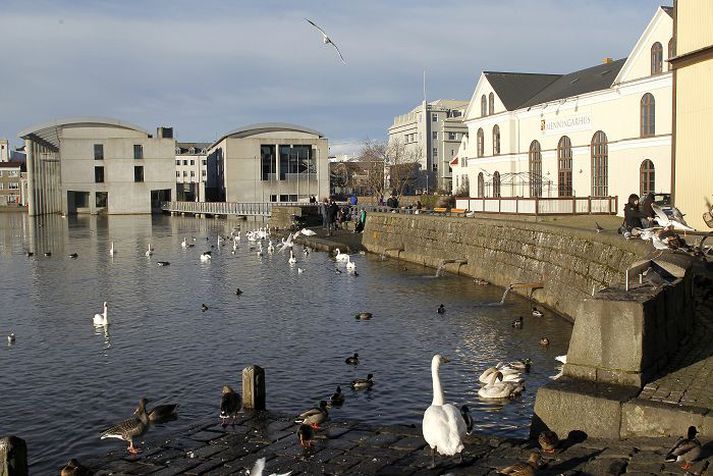 Fuglalíf á Tjörninni Það er ekki sjálfgefið að fuglalíf kryddi mannlífið í miðborg Reykjavíkur.