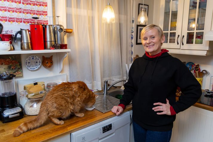 Það er enginn snús-takki á Kismundi, sem dregur Sólveigu Önnu Jónsdóttur formann Eflingar svo snemma fram úr á morgnana, að hún þarf að hemja sig að fara ekki að senda fólki skilaboð á Facebook löngu fyrir sjö; svo fólk haldi ekki að hún sé eitthvað lasin!