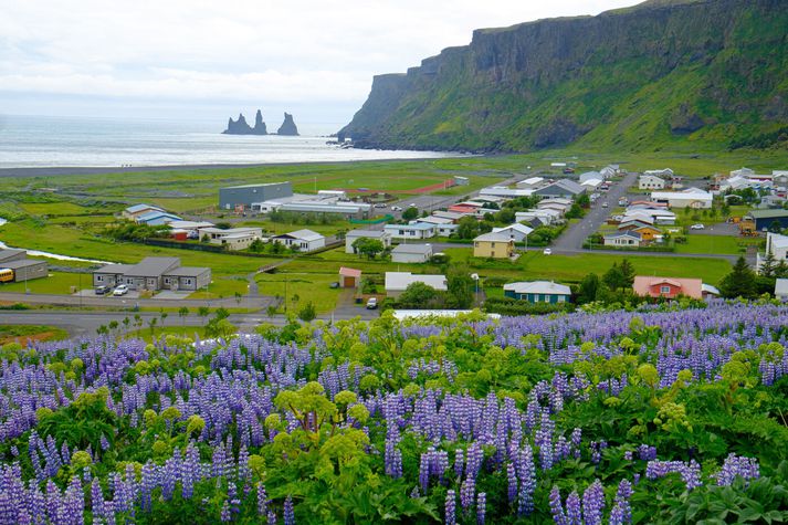 Vík í Mýrdal er svo vinsæll áfangastaður ferðamanna að mörgum þykir um of.