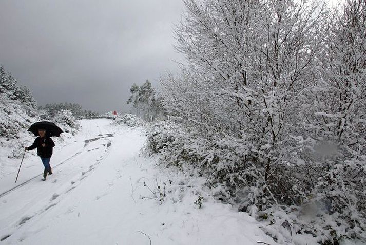 Hvít jörð á Spáni. Snjór og hálka hefur valdið miklum umferðartöfum og slysum á Spáni undanfarna daga.