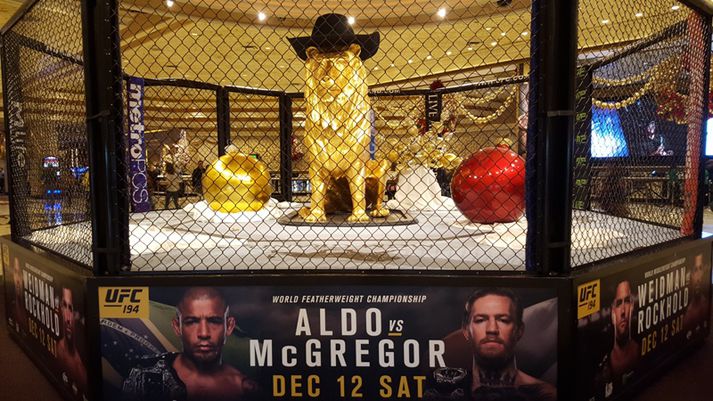 Meira að segja ljónið í UFC-búrinu á MGM Grand er komið með kúrekahatt.