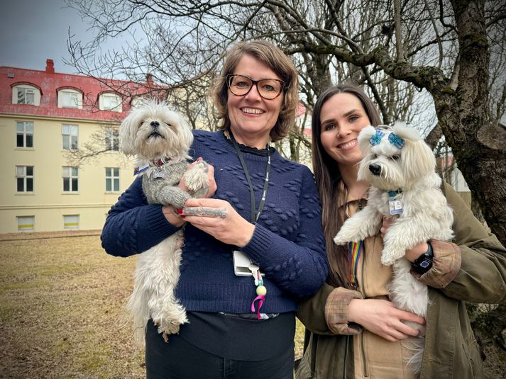 Mosi og Simbi ásamt eigendum sínum, Ólöfu og Ragnheiði. Mosi var þreyttur eftir annasaman morgun í vinnunni en Simbi er enn í hlutastarfi. 