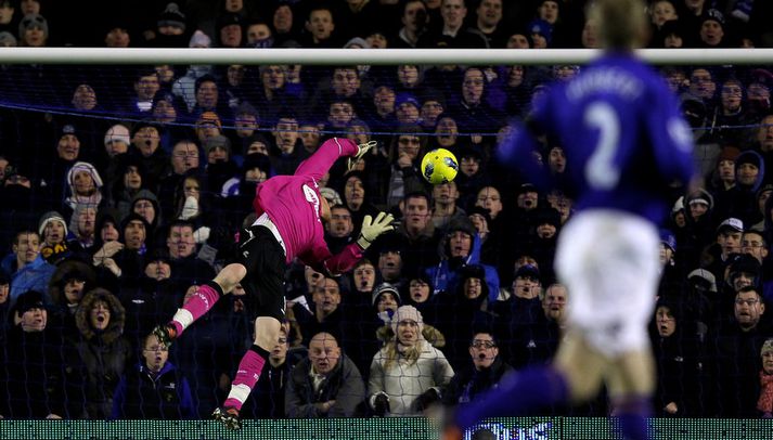 Boltinn á leiðinni í markið eftir skot Tim Howard.