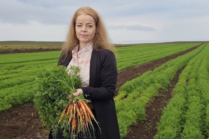 Ólína Ingibjörg Jóhannesdóttir, gulrótabóndi í Þistilfirði    