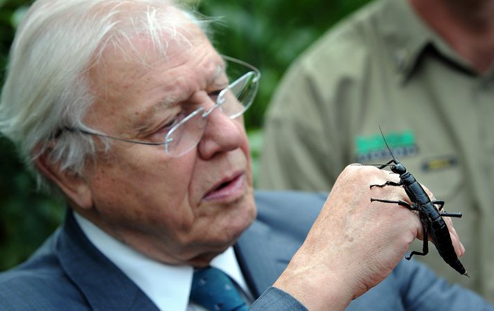 David Attenborough.