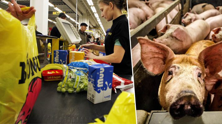 „Að mínu mati eins beint frá bónda og hægt er að hugsa sér,“ segir framkvæmdastjóri Bónus.