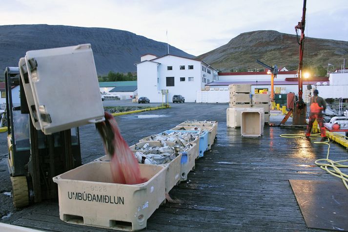 Stærsti vinnuveitandinn á Tálknafirði sagði í gær upp öllum 26 starfsmönnum sínum.