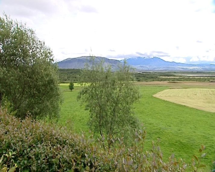 Konan lést í bruna í hjólhýsi í Þjórsárdal.