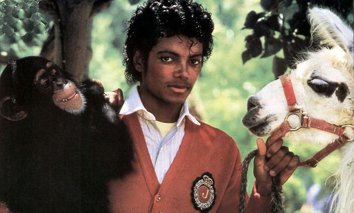 Michael Jackson og Bubbles eru eitt eftirminnilegasta tvíeykið í sögu skemmtanabransans.Nordic Photos/Afp