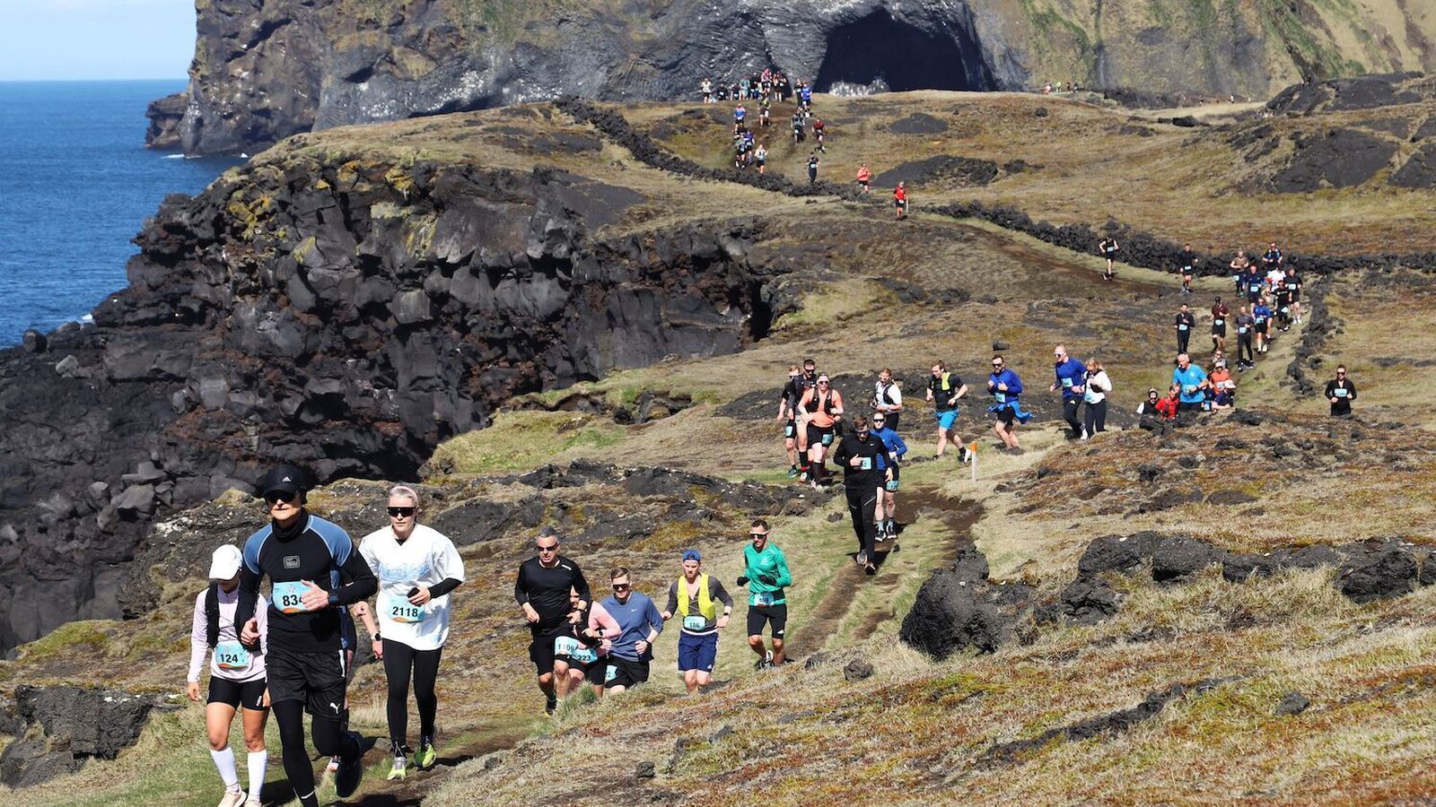 Hver sigrar Puffin-hlaupið?