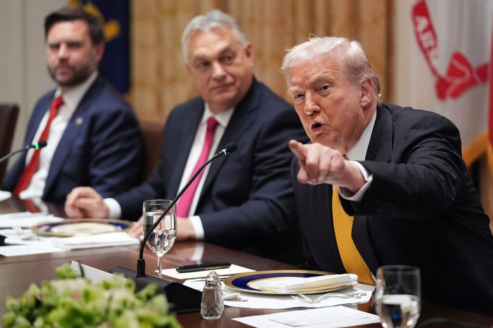 Donald Trump Bandaríkjaforseti fundaði með Viktori Orbán forsætisráðherra Ungverjalands í Hvíta húsinu í dag.