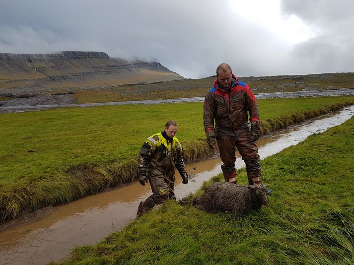 Á þriðja tug kinda sem lentu undir aurskriðu í Hamarsfirði var bjargað í gær. Enn er talin hætta á skriðuföllum á austanverðu og suðaustanverðu landinu vegna mikilla vatnavaxta sem hefur fylgt hefur gríðarlegri úrkomu á svæðinu síðustu daga. Spáð er áframhaldandi úrkomu í dag með tilheyrandi vatnavöxtum og hættu á skriðuföllum.