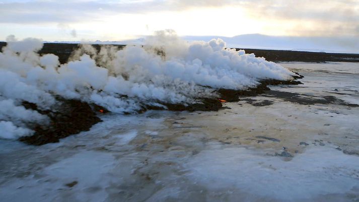 Frá því í gærmorgun hafa mælst um 40 jarðskjálftar í Bárðarbungu.