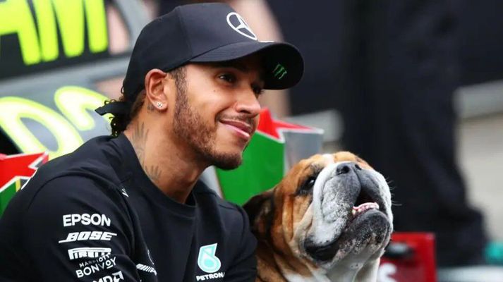 Hamilton og Roscoe á góðri stundu.
