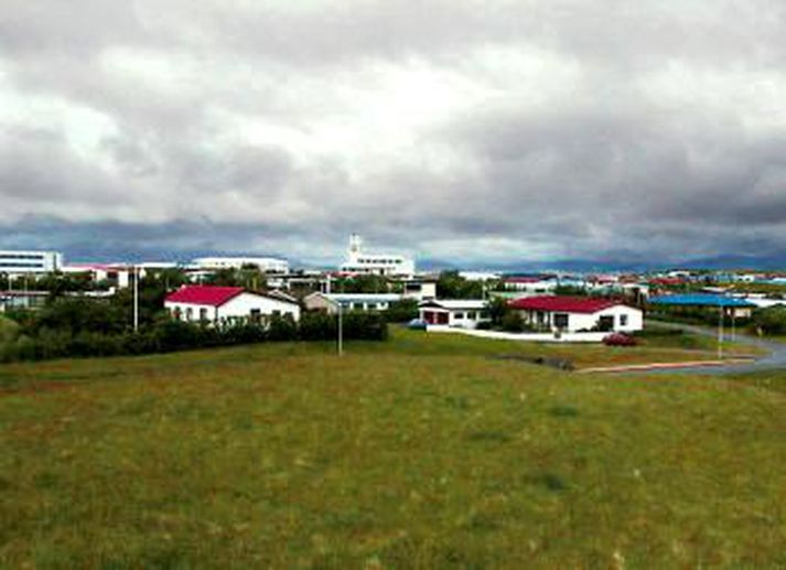 Frá Höfn Í Hornafirði.