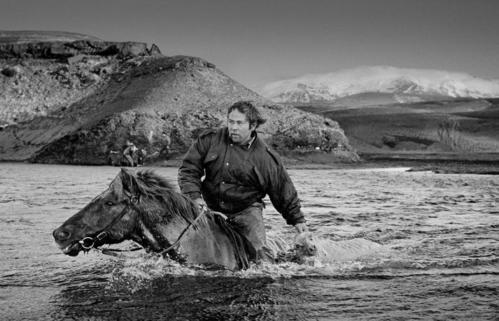 Kristinn fjallkóngur á sundreið í Rangá. Í dag 6. desember á hann afmæli og er viðeigandi að birta þáttinn á þessum degi.